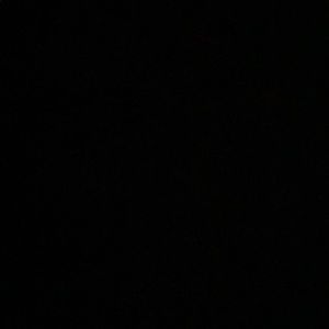 Meet your Posher, Isabella